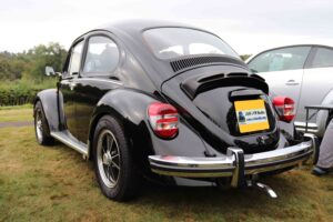 MyBeetle22ndSept2019 (8)