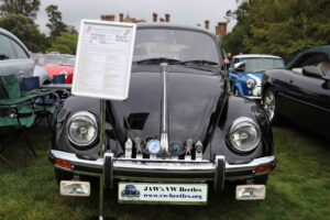 MyBeetle26thSept2021 (3)