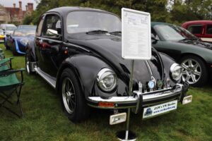MyBeetle26thSept2021 (4)