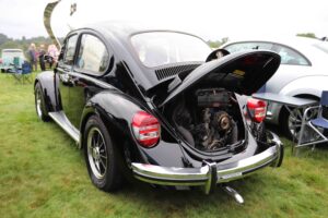 MyBeetle26thSept2021 (8)