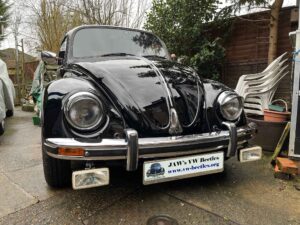 MyBeetle3rdJan2022 (1)