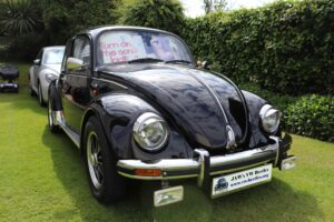 MyBeetle3rdJune2022 (1)