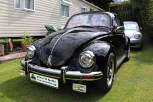 MyBeetle3rdJune2022 (3)