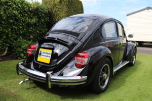 MyBeetle3rdJune2022 (5)