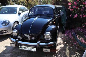 MyBeetle5thApril2020 (1)