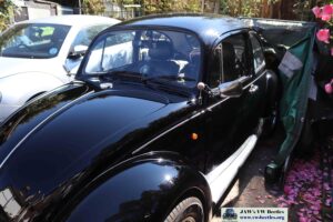 MyBeetle5thApril2020 (10)