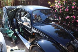 MyBeetle5thApril2020 (12)