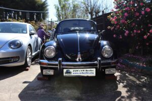 MyBeetle5thApril2020 (2)