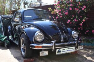 MyBeetle5thApril2020 (3)