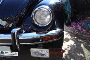 MyBeetle5thApril2020 (7)