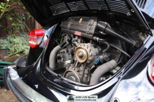 MyBeetle6thJan2021 (15)
