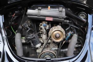 MyBeetle6thJan2021 (23)