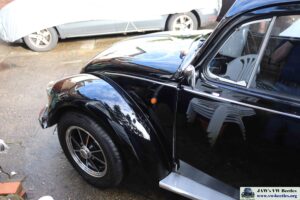 MyBeetle6thJan2021 (31)