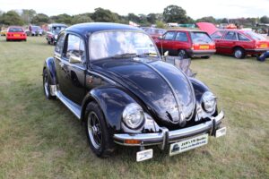 MyBeetle7thSept2019 (10)