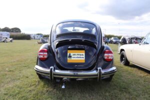 MyBeetle7thSept2019 (14)