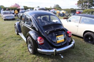 MyBeetle7thSept2019 (15)