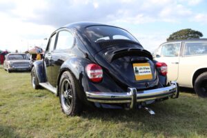 MyBeetle7thSept2019 (17)