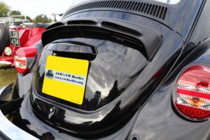 MyBeetle7thSept2019 (3)