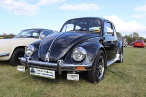 MyBeetle7thSept2019 (7)