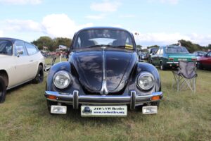 MyBeetle7thSept2019 (9)