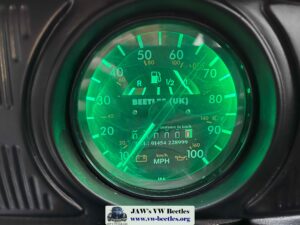 Bertie100kDec2023 (4)