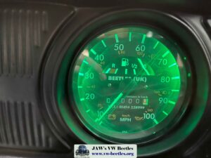Bertie100kDec2023 (5)