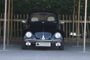 BertieBeetle19thJuly2024 (1)