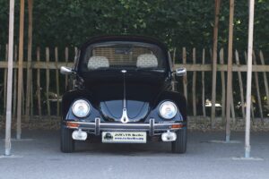 BertieBeetle19thJuly2024 (2)