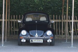 BertieBeetle19thJuly2024 (3)
