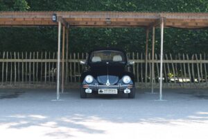 BertieBeetle19thJuly2024 (4)