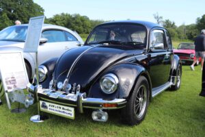 BertieBeetle19thMay2024 (1)