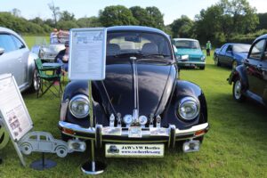 BertieBeetle19thMay2024 (2)