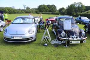 BertieBeetle19thMay2024 (3)