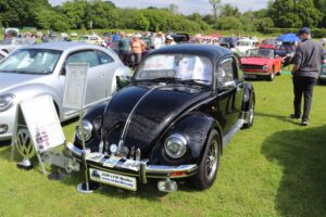 BertieBeetle19thMay2024 (5)