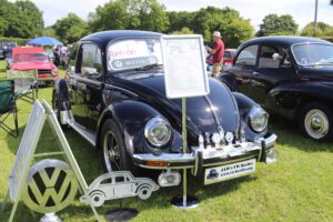 BertieBeetle19thMay2024 (6)