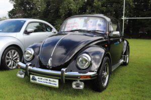 BertieBeetle20thAug2023 (1)