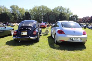 BertieBeetle20thAug2023 (10)
