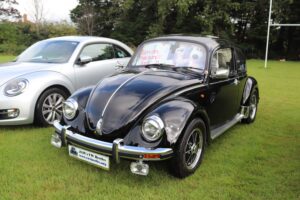BertieBeetle20thAug2023 (2)