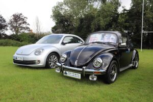 BertieBeetle20thAug2023 (3)