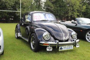 BertieBeetle20thAug2023 (4)