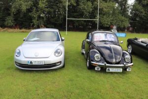 BertieBeetle20thAug2023 (5)