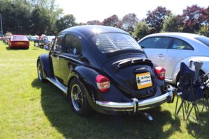 BertieBeetle20thAug2023 (8)