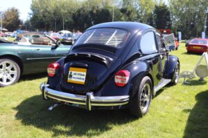 BertieBeetle20thAug2023 (9)