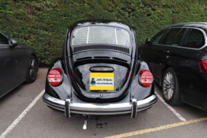 BertieBeetle21stJuly2024 (1)