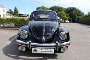 BertieBeetle21stJuly2024 (3)