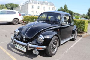 BertieBeetle21stJuly2024 (4)