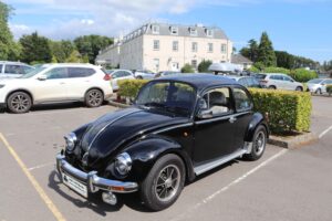 BertieBeetle21stJuly2024 (5)