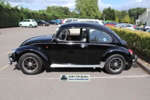 BertieBeetle21stJuly2024 (6)
