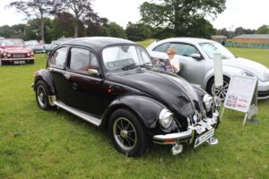BertieBeetle23rdJune2024 (1)