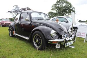 BertieBeetle23rdJune2024 (2)